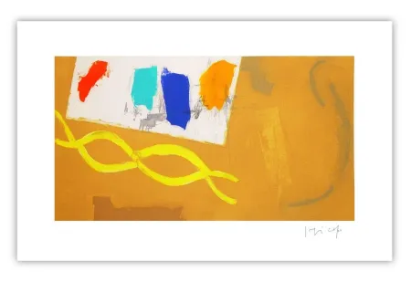 Stich Capa - Ocher and colors