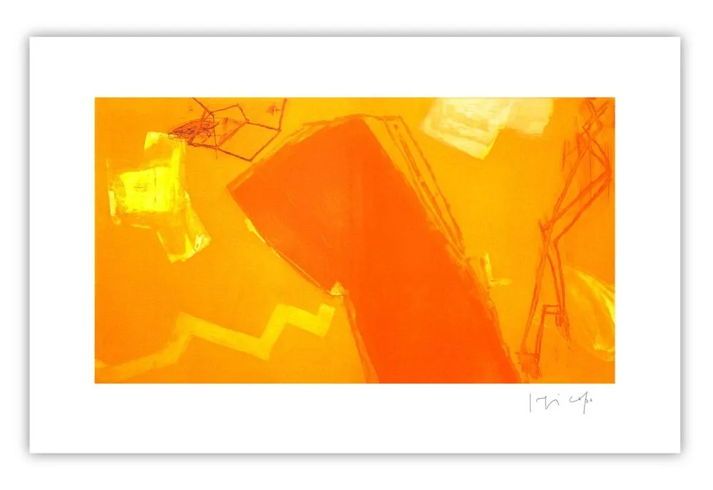 Stich Capa - Orange profile