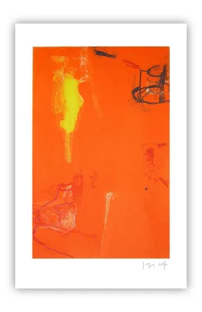 Stich Capa - Vermillion (S.A.)