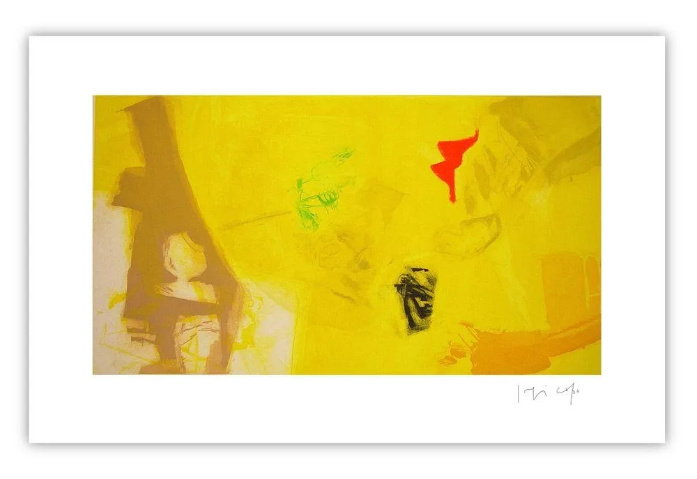 Stich Capa - Yellow and colors