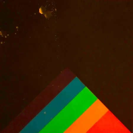 Siebdruck Carmi - SENZA TITOLO