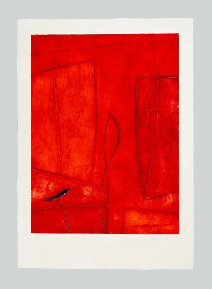 Siebdruck Cascella - Composizione