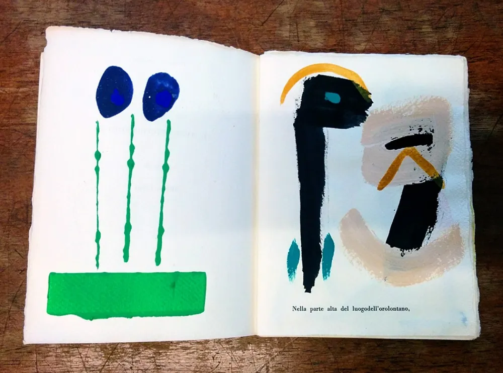 Illustriertes Buch Cascella - Il Magocostruttordivoli