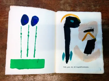 Illustriertes Buch Cascella - Il Magocostruttordivoli