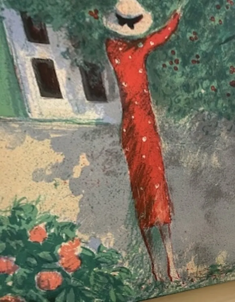 Illustriertes Buch Cassigneul  - CASSIGNEUL