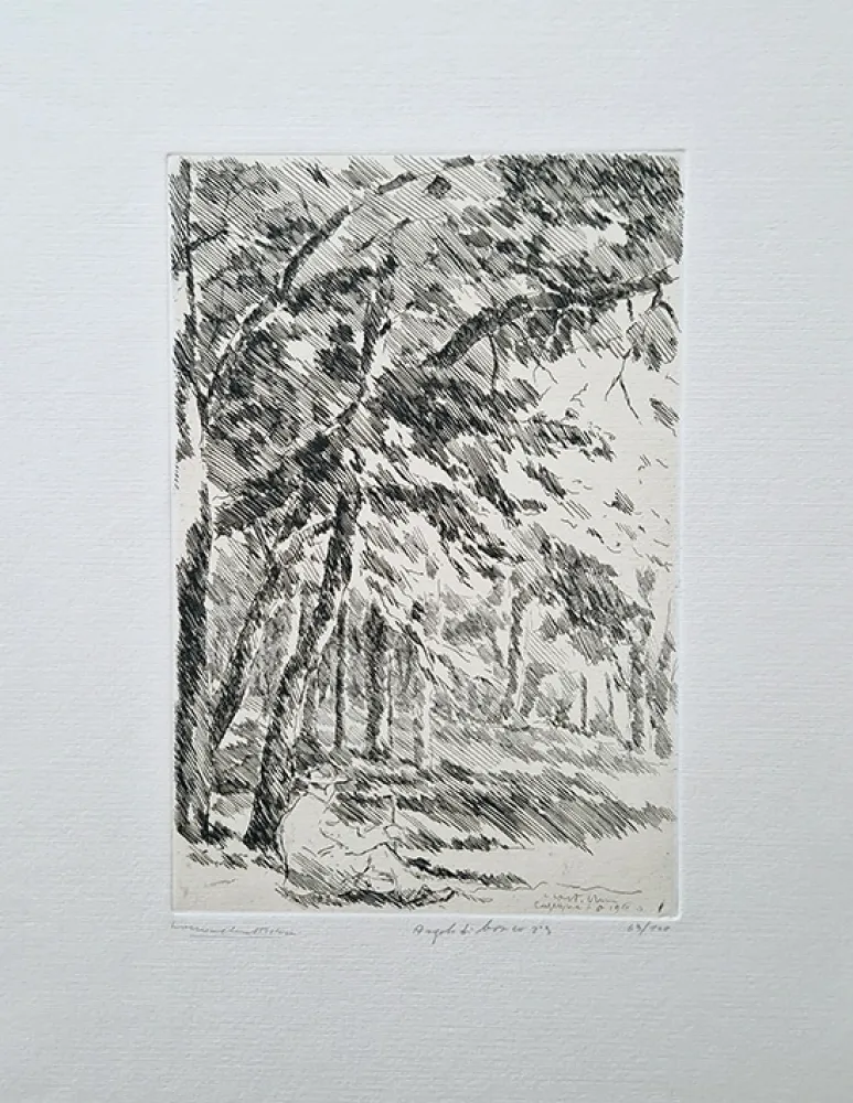 Radierung Castellani - Angolo di bosco