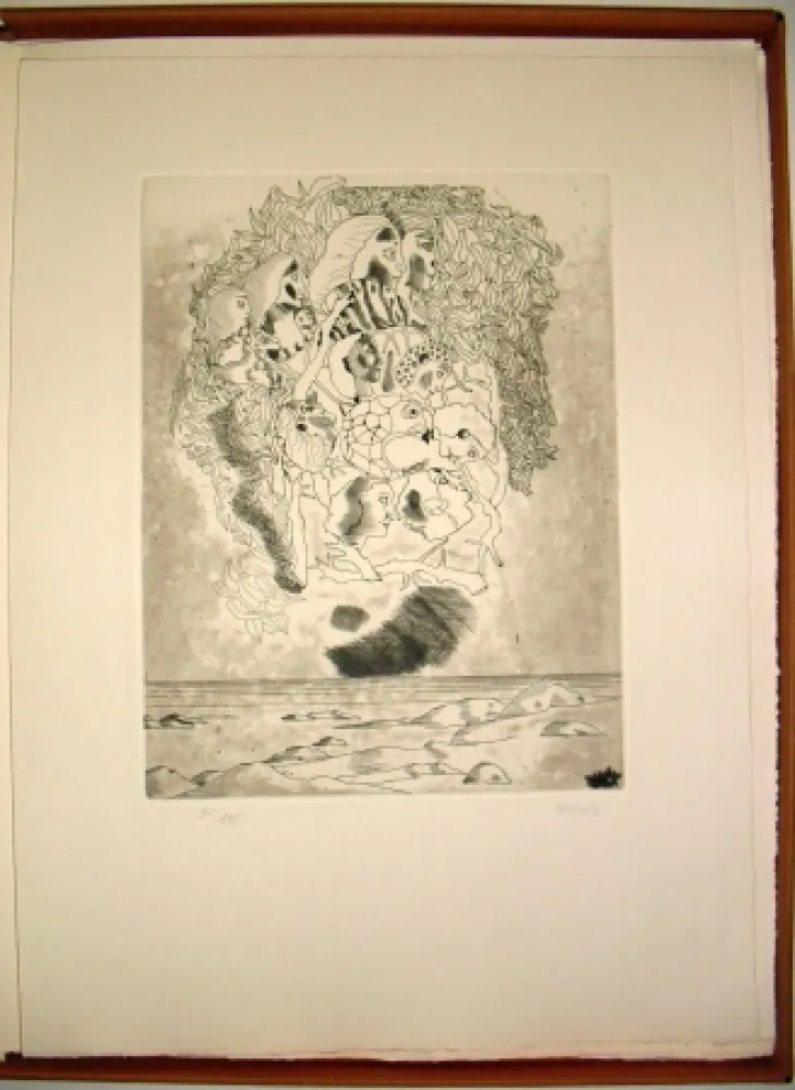 Illustriertes Buch Castillo - Canta a Sola Lisi