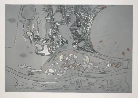 Radierung Und Aquatinta Castillo - Jardin de invierno 2