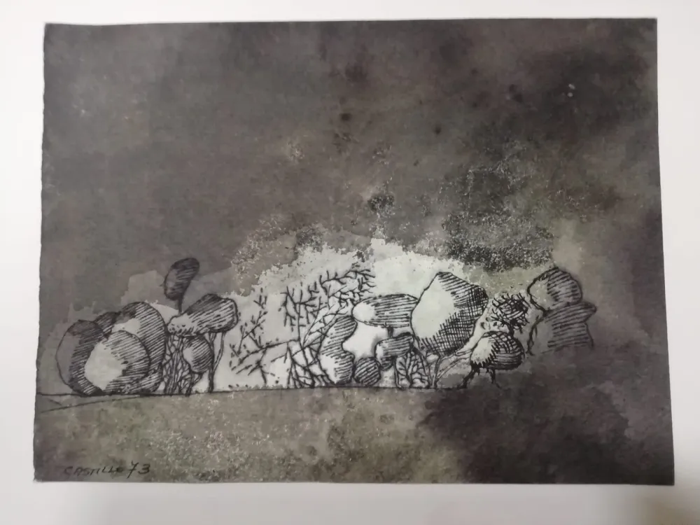 Keine Technische Castillo - Vista de Grünewald