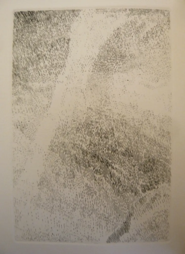 Illustriertes Buch Celan Lestrange - Protocole