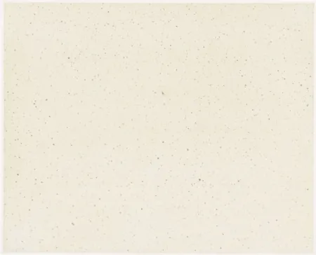 Multiple Celmins - Night Sky 1 ( Reversed )