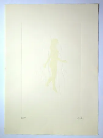 Stich Ceroli - Daria