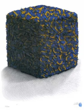 Siebdruck Cesar - Portrait comp. drapeaux Suédois