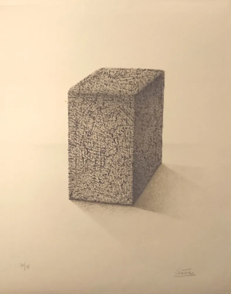 Lithographie Cesar - ' Portrait de Compression '