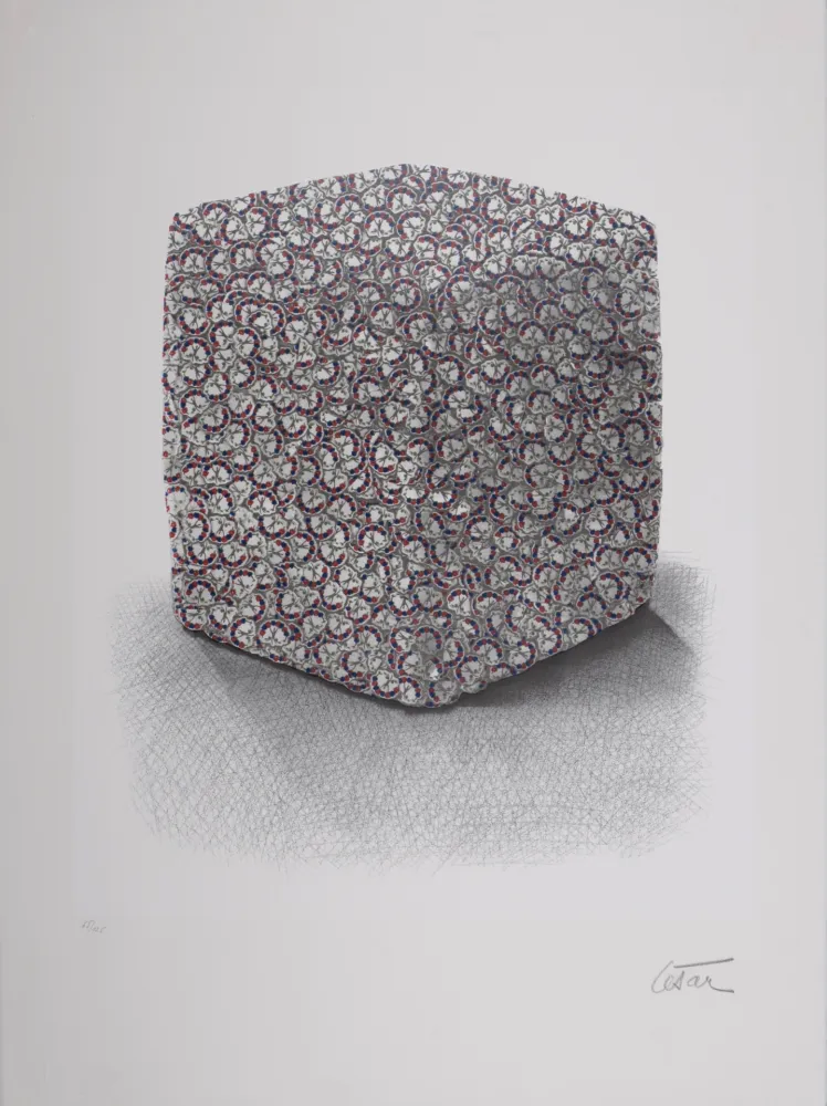 Siebdruck Cesar - Portrait de Compression, C. 1980-1985