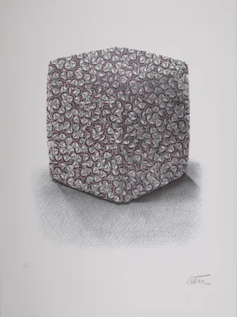 Siebdruck Cesar - Portrait de Compression, C. 1980-1985