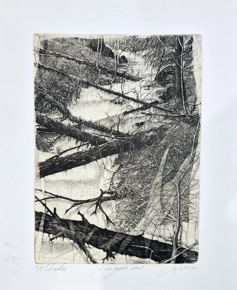 Radierung Ceschin - Là dove sgorgano torrenti