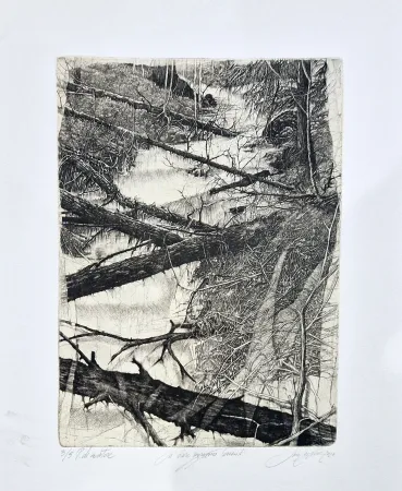 Radierung Ceschin - Là dove sgorgano torrenti