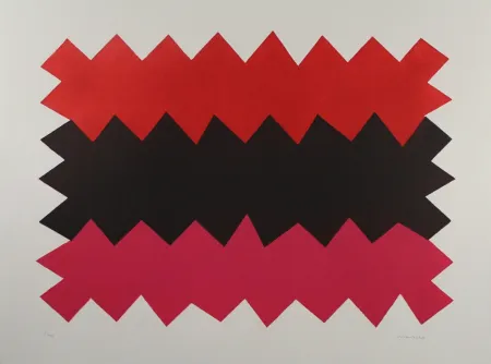 Aquatinta Chancho - Montserrat 1