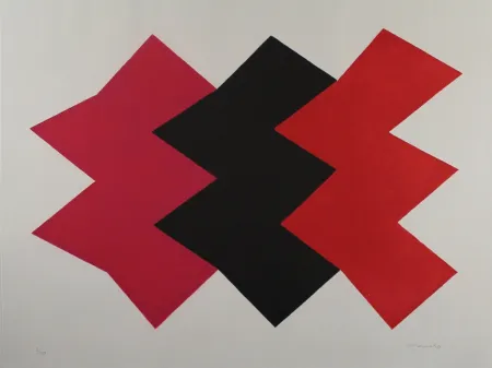 Aquatinta Chancho - Montserrat 2