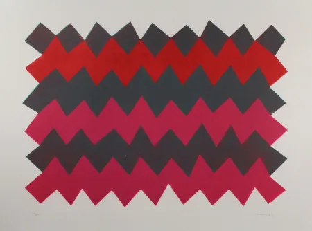 Aquatinta Chancho - Montserrat 3