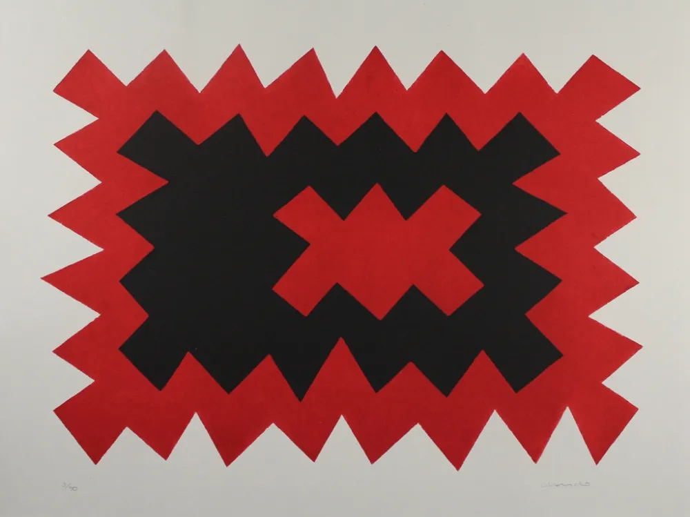 Aquatinta Chancho - Montserrat 4