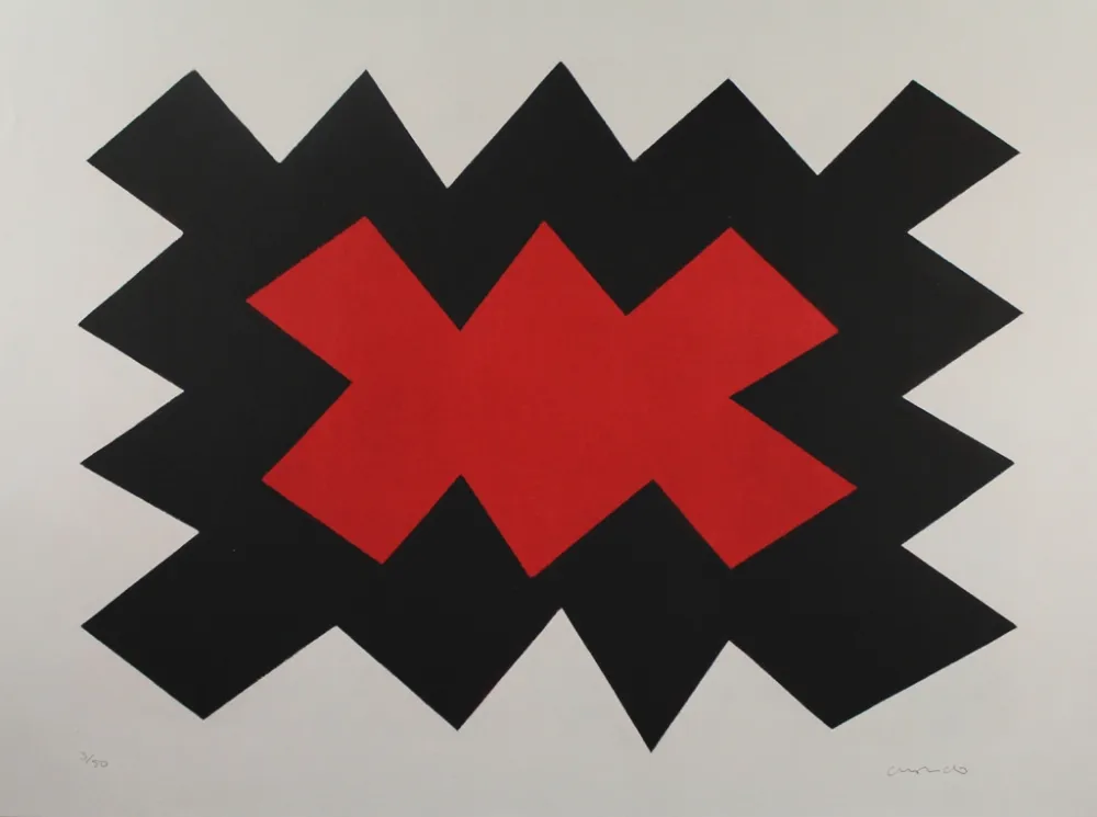 Aquatinta Chancho - Montserrat 5