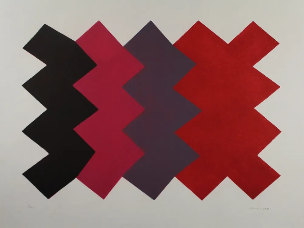 Aquatinta Chancho - Montserrat 6