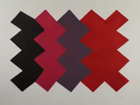 Aquatinta Chancho - Montserrat 6