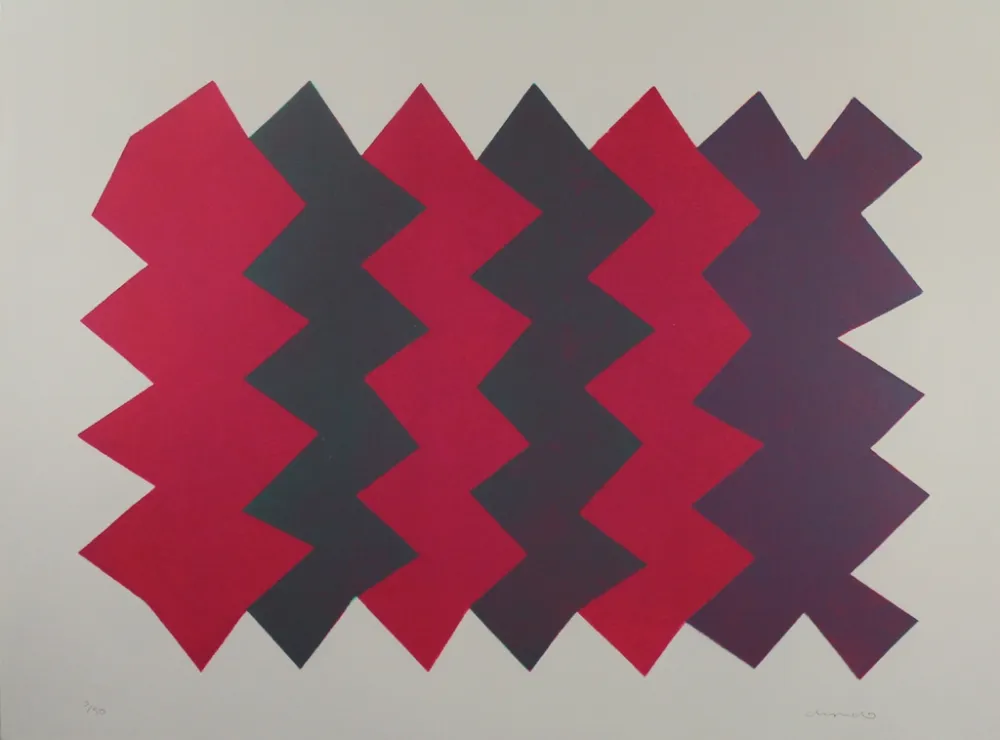 Aquatinta Chancho - Montserrat 7