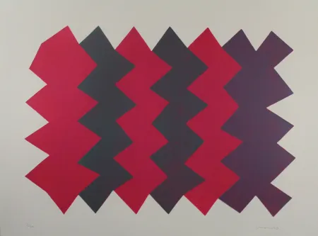 Aquatinta Chancho - Montserrat 7