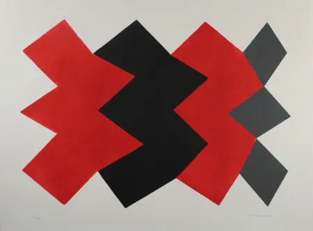 Aquatinta Chancho - Montserrat 8