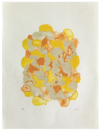 Lithographie Chaudouët - Lichens 7