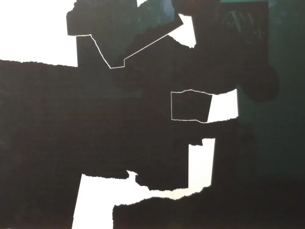 Illustriertes Buch Chillida - DLM 124