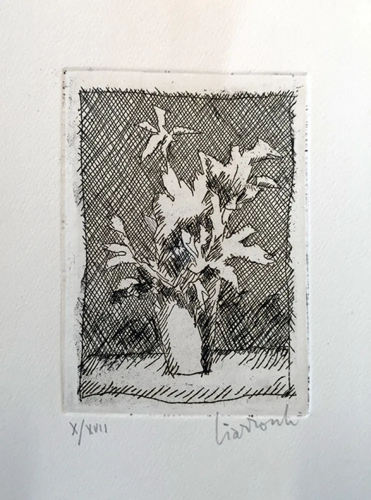Radierung Ciarrocchi - Fiori