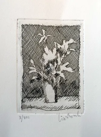 Radierung Ciarrocchi - Fiori