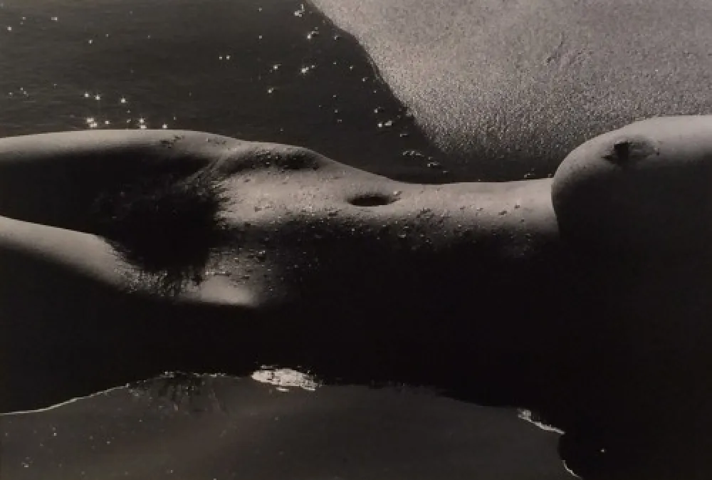 Fotografie Clergue - Nyu de la Mer Camargue
