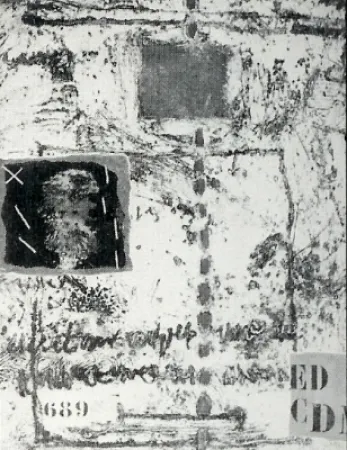 Stich Coignard - 383 Overture Verte