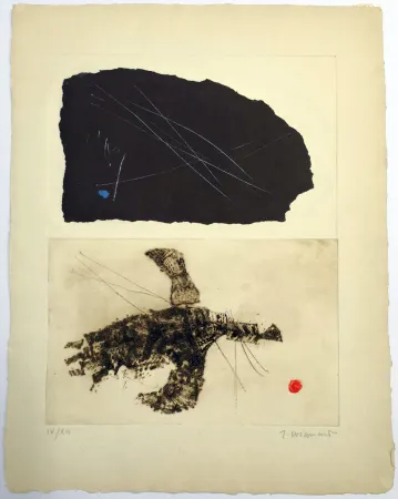 Radierung Coignard - Envols 3