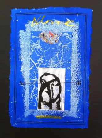 Stich Coignard - Feu Bleu 