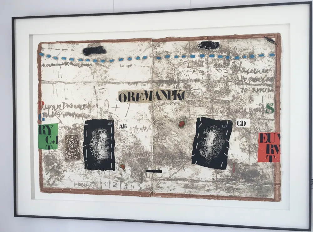 Stich Coignard - Identification 