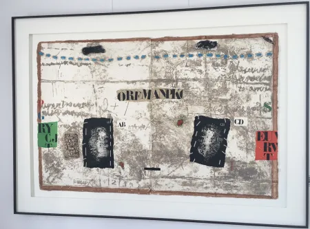 Stich Coignard - Identification 