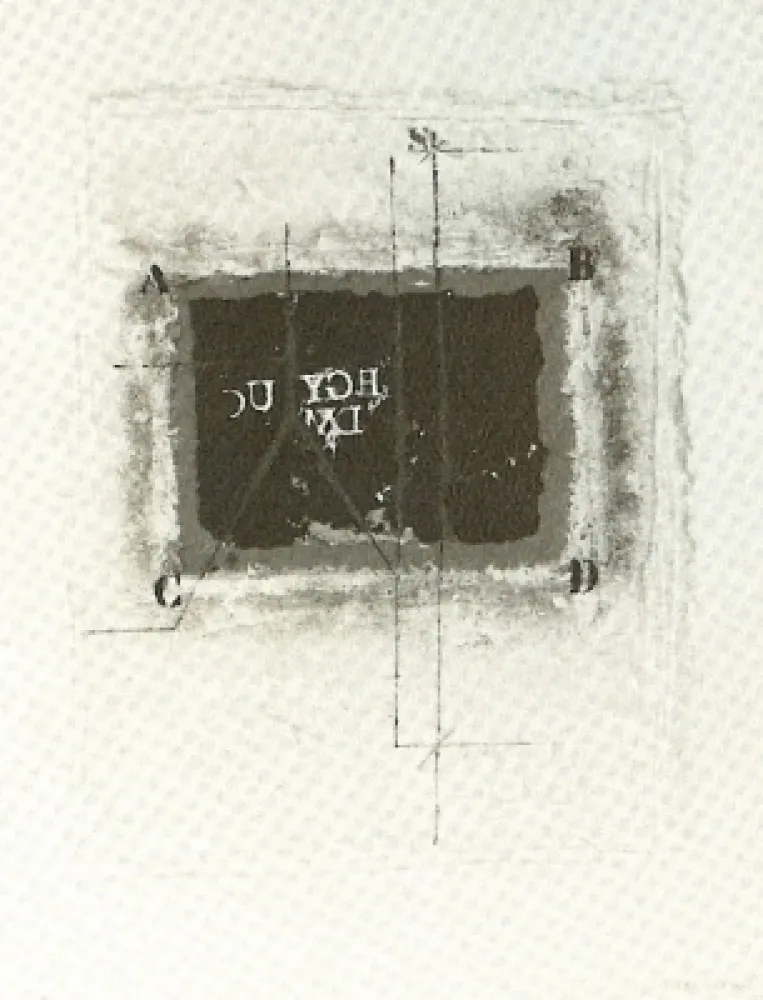 Stich Coignard - Remarque Verte 642