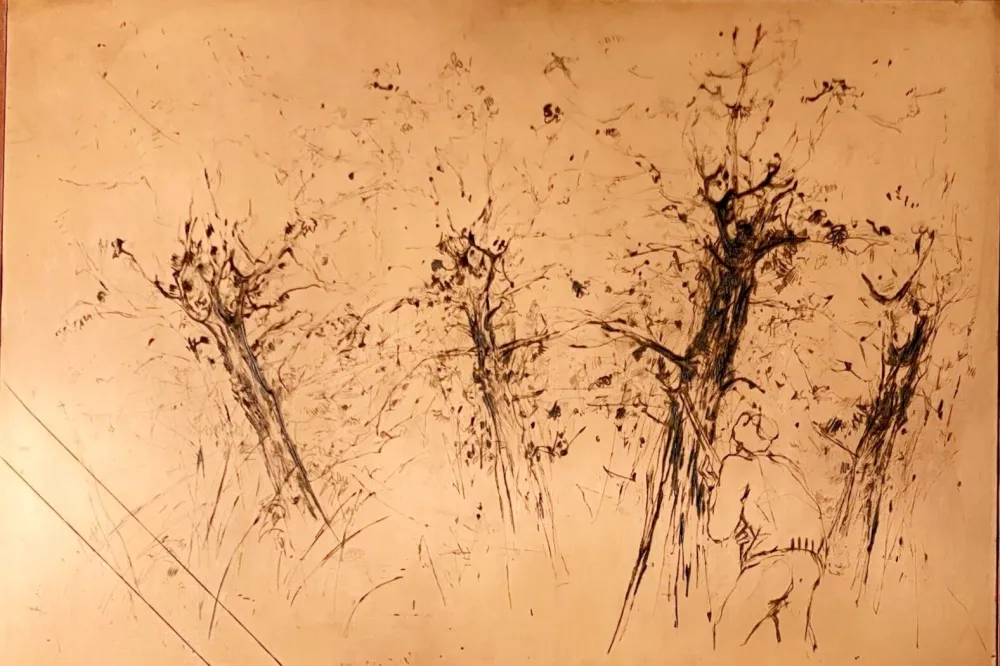 Keine Technische Commère - Chasseur à l'affût