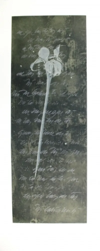 Radierung Und Aquatinta Conte - El lenguaje de las flores I