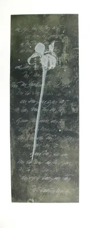 Radierung Und Aquatinta Conte - El lenguaje de las flores I