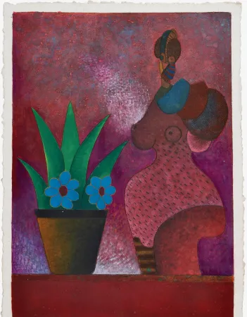 Keine Technische Cora - La Jardinera