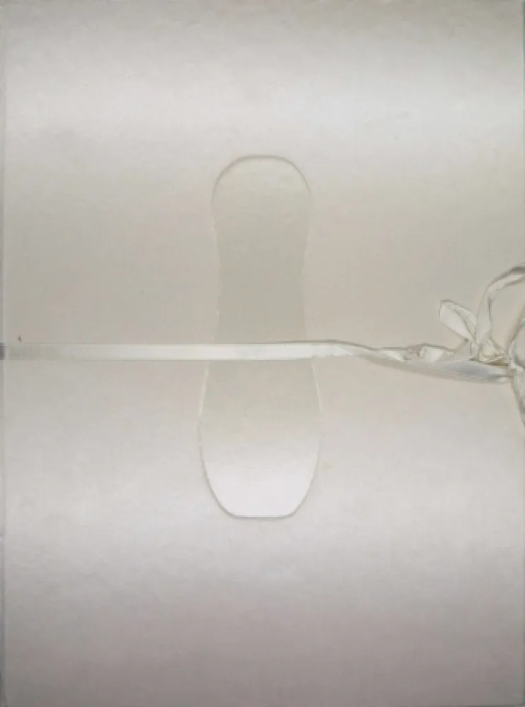 Illustriertes Buch Cormenzana - Pas de dansa