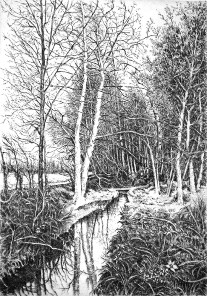 Radierung Cotugno  - Autunno