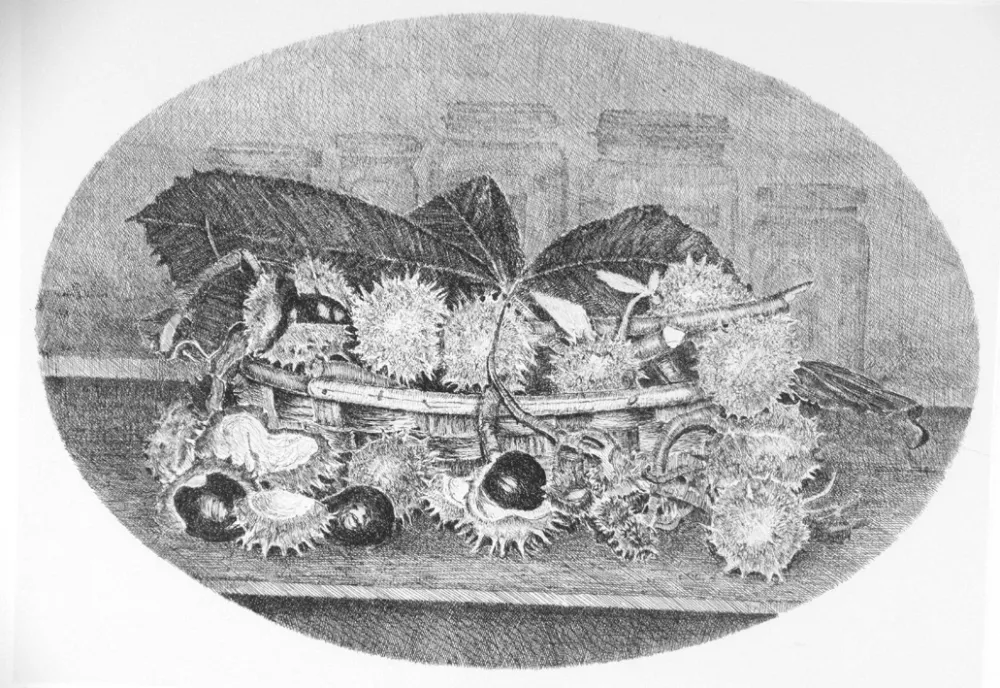 Radierung Cotugno  - Cestino